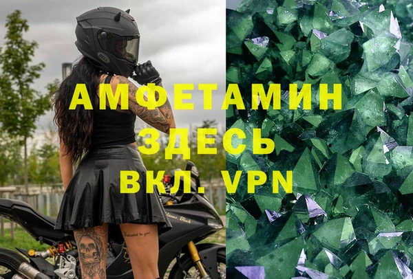 стафф Алзамай