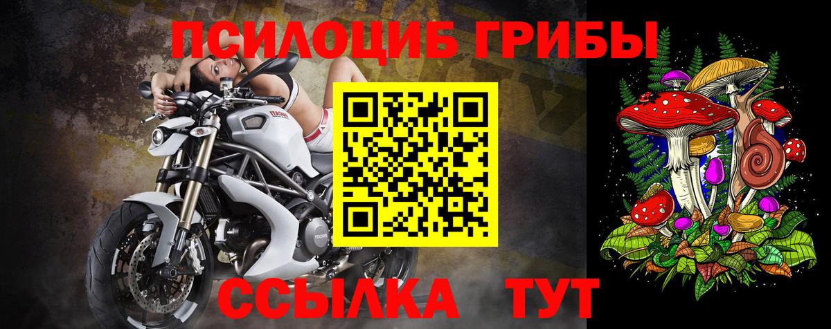 Миллерово  Псилоцибиновые грибы мицелий  Вход с VPN 
